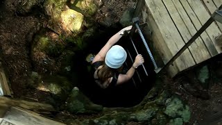 Hiking - The Crawl - Trail of Two Forests - Gifford Pinchot - WA - 2023/06/10