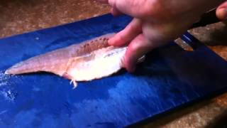 Worst Perch Fillet Video Ever!!