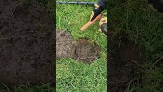 What Rubbish Is In The Ground! Metal Detecting Wales