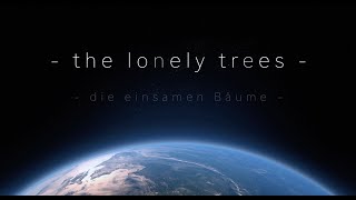 the lonely trees - filmed with DJI AIR 2s / die einsamen Bäume - gefilmt mit der DJI AIR 2s