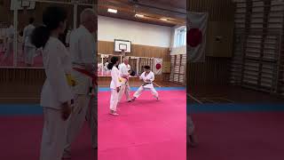 Toyama-Sensei demonstrating chudan gyaku-zuki