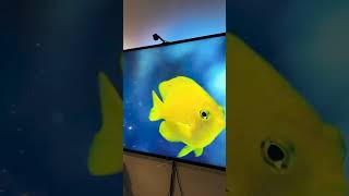 The Nanoleaf 4D is an LED TV backlight to enhance your watching experience