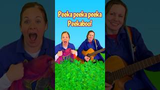 Peekaboo song | Baby Toddler | Musical Mayhem | Can You Play A Peekaboo? #nurseryrhyme #baby