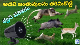 Automatic Siren To Protect Crop From Wild Animals @Maheshelectricks