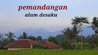 bikin rindu pingin aku kembali lagi  kesini #suasanapedesaan  #jalanjalankesawah  #sulingkecapisunda