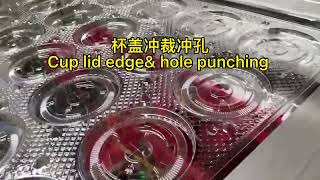 PET  cup lid auto thermoforming and packaging solution