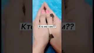 кто там спрятался??