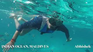 Underwater In The Indian Ocean | Maldives | Abhishek Saha