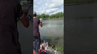 Fishing Video in Best Hook Fishing Video 🎣🐟