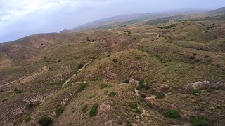 Nano Talon full mountain flight in new flying spot.