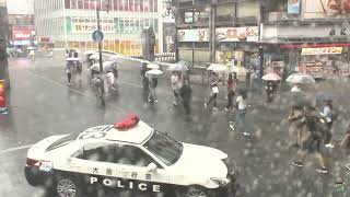 ゲリラ豪雨　2024/8/15　15:00- 大阪道頓堀ライブカメラ