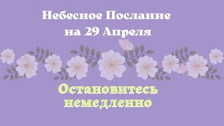 Небесное послание на 29 апреля. Остановитесь немедленно| Эзотерика для тебя сегодня