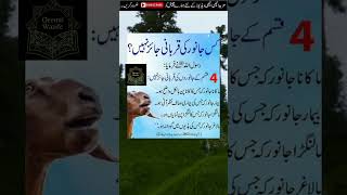 kis Janwar ki qurbani jayaz nahin #shortvideo  #qeemtiwazife