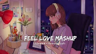 Feel Love Lofi Mashup | ( Slowed+ Reverb ) | Mind Relax Lofi | Lofi Mashup ✨