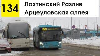 Автобус 134 "Лахтинский Разлив - Арцеуловская аллея"