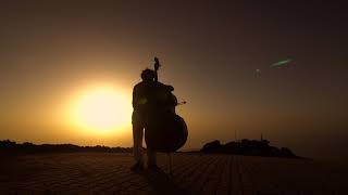 #Футаж играет на закате на виолончели ◄4K•HD► #Footage playing cello at sunset