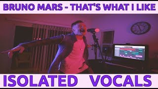 BRUNO MARS - "THAT'S WHAT I LIKE" (***ISOLATED VOCALS***)