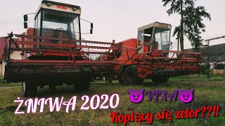 ŻNIWA 2020 NA DWA BIZONY !!! Kopiący sie zetor ??!! *vixa*/AgroFarmTV/