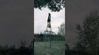 Handstandwalking on two bars third try 1.65 meters #calisthenics #turnen