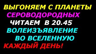 Выгоняем с планеты сероводородных! Читаем волеизъявление во вселенную в 20 45 каждый день!