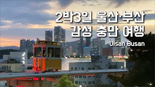 2박3일 울산・부산ㅣ감성충만 여행