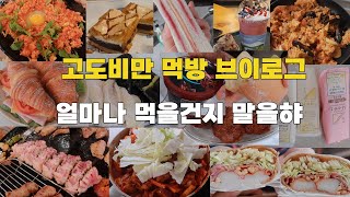 먹방브이로그 / 벌집삼겹살 칙촉위즐 초코아이스크림 누네띠네 앙버터 크로와상 성심당 먹물빵 닭갈비 햄치즈빵 깍두기볶음밥 대만샌드위치 해물빠에야 고추장떡 소고기 미역국 통밀또띠아