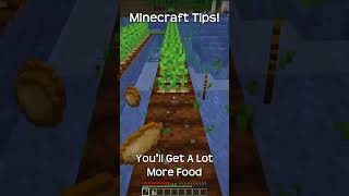 How To Increase Crop Yield In Minecraft?!