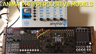 “Anima Phi’s percussive models” by Friendly Noise