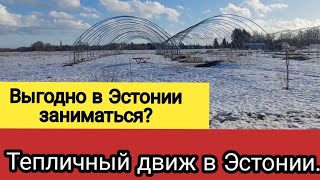 Теплицы в Эстонии. Скоро сезон  будет открыт.