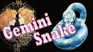 Gemini Snake - The Thoughtful Strategist