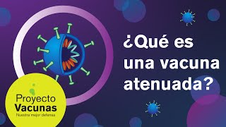 Qué es una vacuna atenuada?