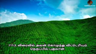 Tamil Quran - Sura 111 Al-Masadd (ஸூரத்துல் லஹப்)