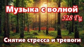 【Снятие стресса и тревоги】 Музыка с волной 528 Гц /【Relieving Stress and Anxiety】Music with a 528 Hz