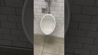 Extremely Powerful Toto urinal at Target