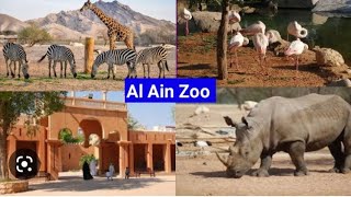 Al ain zoo  ||4K|| #zoo #alain #animals #uae #abudhabi