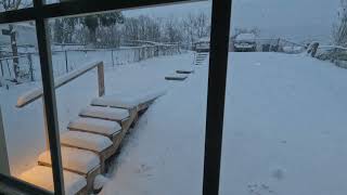 12 Hour Time Lapse Snowfall Mar 12 2022