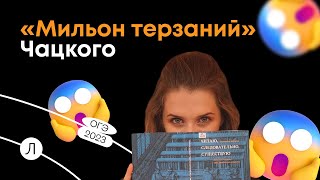 ЛИТЕРАТУРА ОГЭ — «Мильон терзаний» Чацкого: разбор темы сочинения