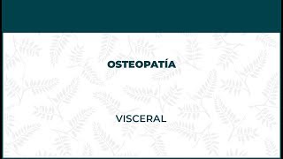 Osteopatía Visceral - FisioClinics Barcelona, Barna