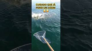 O Dourado é bruto e enjuado 😂🤪.#pescaria #pescador #fishing #pescaesportiva #shortviral #engraçado