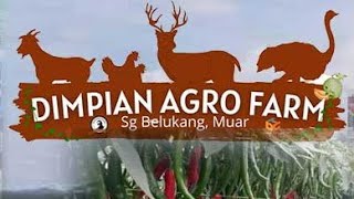 D'Impian Agro Farm @ Muar, Johor. Tourist attraction in Malaysia