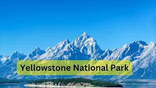 YELLOWSTONE Secrets Nobody Wants You to Know!