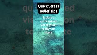 Stress Relief - Best Motivation #foryou #motivation #inspiration #fyp @JustAmazing88