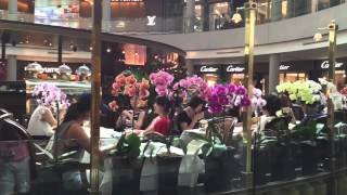 TWG's orchids @ Marina Bay Sands Shoppes