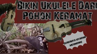 MEMBUAT UKULELE DARI POHON KERAMAT' GA NYANGKA SUARANYA BAKALAN..