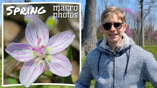 Small Signs of Spring | Macro Adapter on Z6ii + 40mm Lens