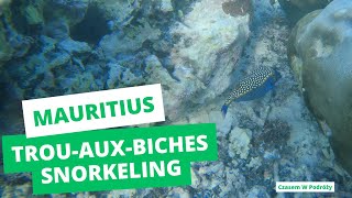 Mauritius - Trou aux Biches snorkeling