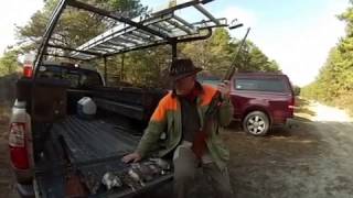 NJ Quail Hunting with Ken Beam & Curt Ryder at Greenwood Forrest