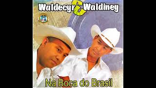 Waldecyr & Waldiney:(Seleção De Pagodes):[CD Na Boca Do Brasil]_Ao vivo_