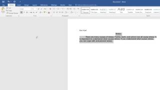 Microsoft Word Basics *