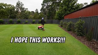 New plan to keep my back lawn GREEN for winter